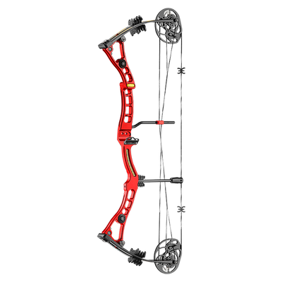 Compound Bow