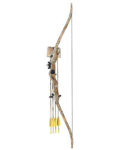 Recurve Bow