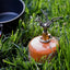 Propane tank on grass with camping pot in the background