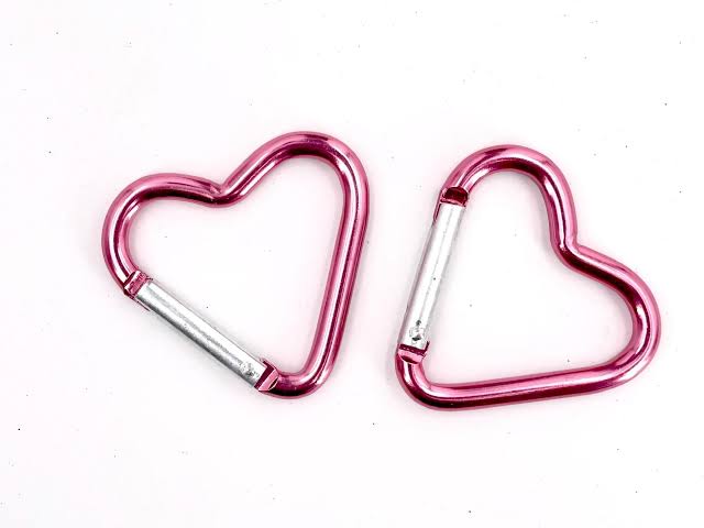 Dual Carabiner