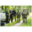 Five armed men in tactical gear and uniforms stand on a dirt road beside a white pickup truck in a wooded outdoor setting.