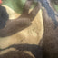 Close-up of a camouflage-patterned plush fabric with shades of brown, beige, green, and black.