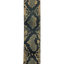 Elastic Belt with various Buckles