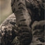 Close-up of a rugged boot with a textured sole on a camouflage-patterned background