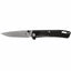 Gerber Zilch Folder Knife
