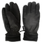 Glove DT8-1 WOMENS Ski glove