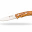 Knife with a wooden handle on a white background