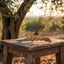 A folding pocket knife with a textured brown handle and silver blade rests on a rustic wooden stool in an olive grove at sunset.