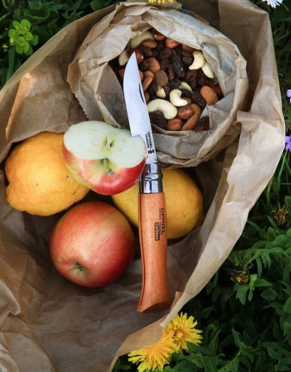 Fruit and nuts in a brown paper bag with a knife on a grassy background