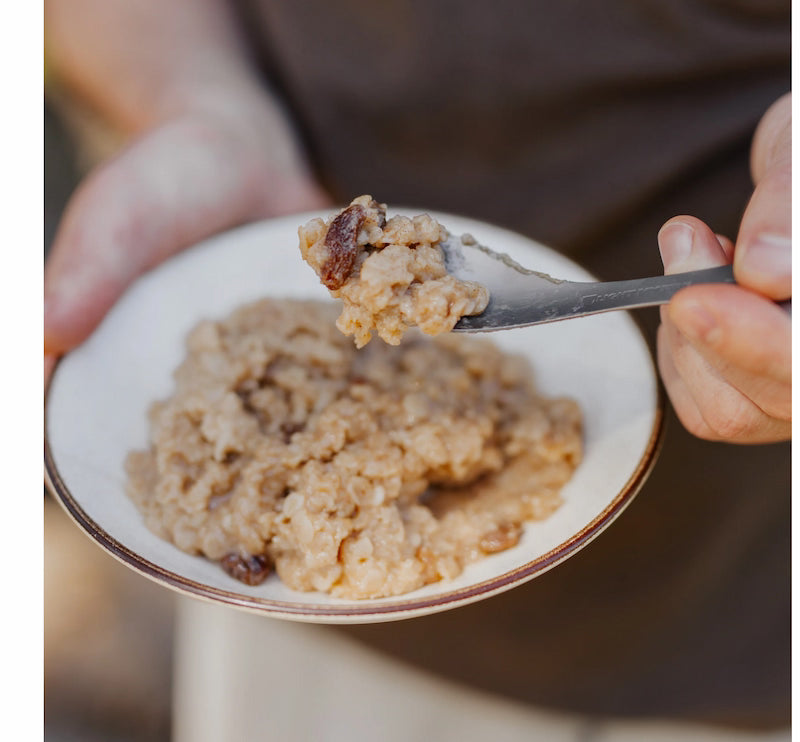 Person holding a bowl of oatmeal with raisins and a spoon