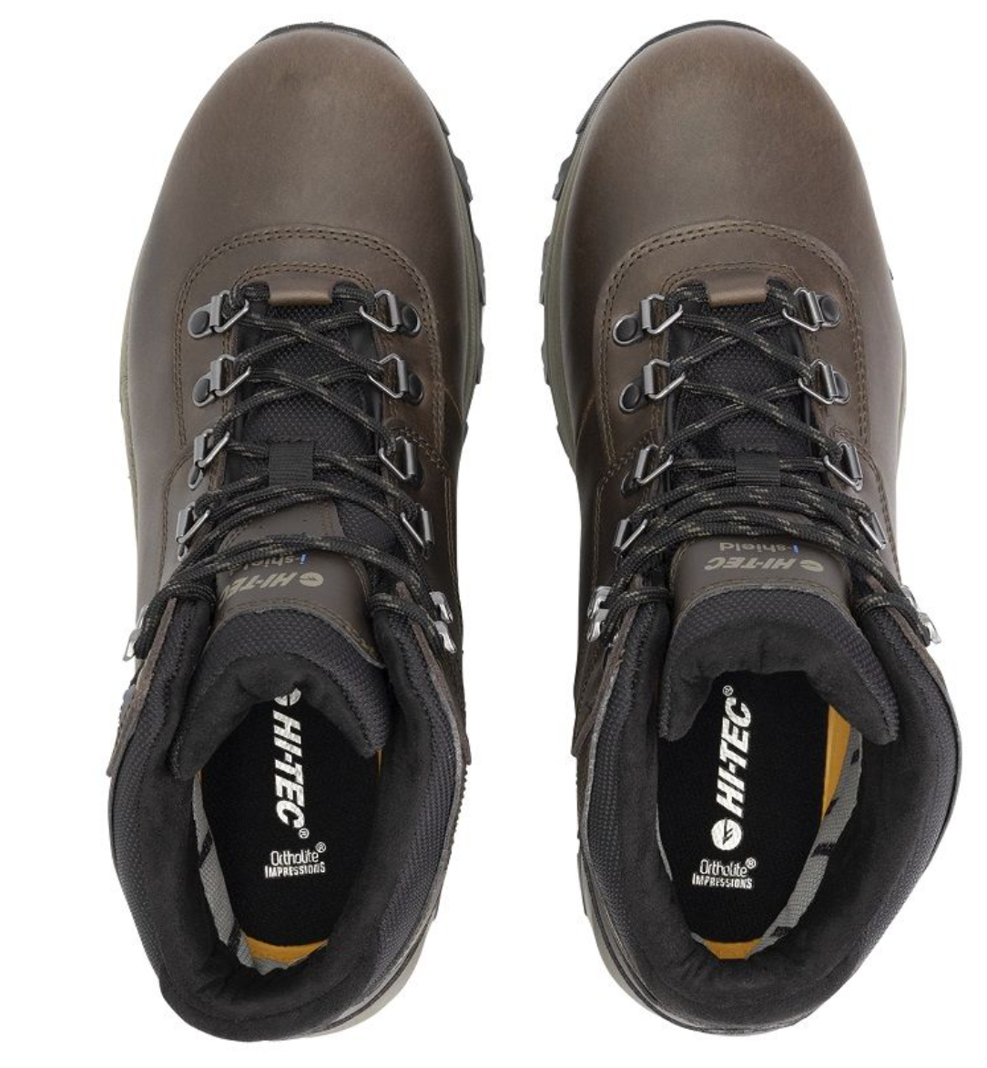 Hi-Tec Altitude VI i WP Dark Chocolate - Save $80