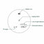 A technical diagram showing the layout of a circular rangefinder's display window, with labels pointing to the battery icon, ranging reticle, line of sight distance, horizontal distance, tilt angle, and other internal components on a white background.