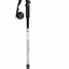 High Trek Wanderer Walking Pole
