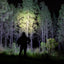 Person walking through a forest at night with a headlamp illuminating the path.