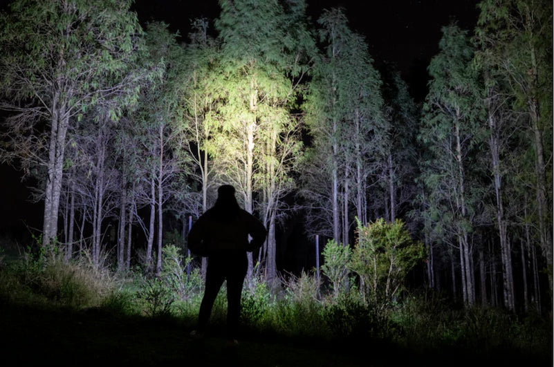 Person walking through a forest at night with a headlamp illuminating the path.