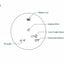 A technical diagram of a circular electronic device, likely a laser rangefinder, with labeled callouts pointing to its internal components and screen indicators, including 'Battery icon', 'ranging reticle', 'Line of sight distance', 'Horizontal distance', and 'Tilt angle'.