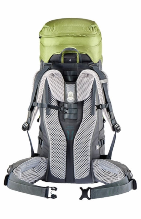 The back view of a large hiking backpack, featuring a lime green top compartment, gray and black padded shoulder straps, and a gray hip belt with buckles, shown against a plain white background.