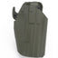Common Holster