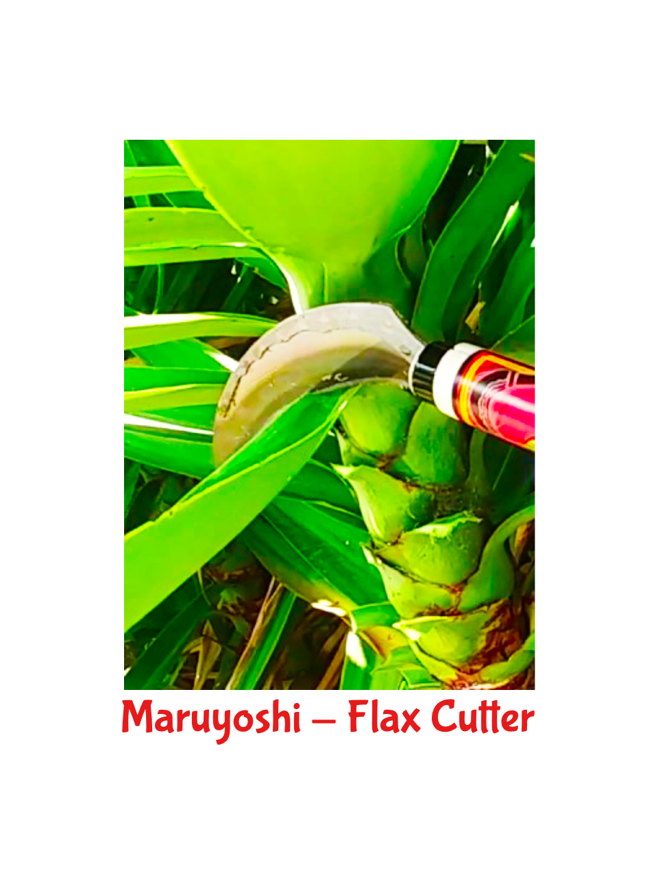 Maruyoshi - Flax Cutter