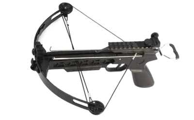 Stealth - Mini Crossbow 110LB