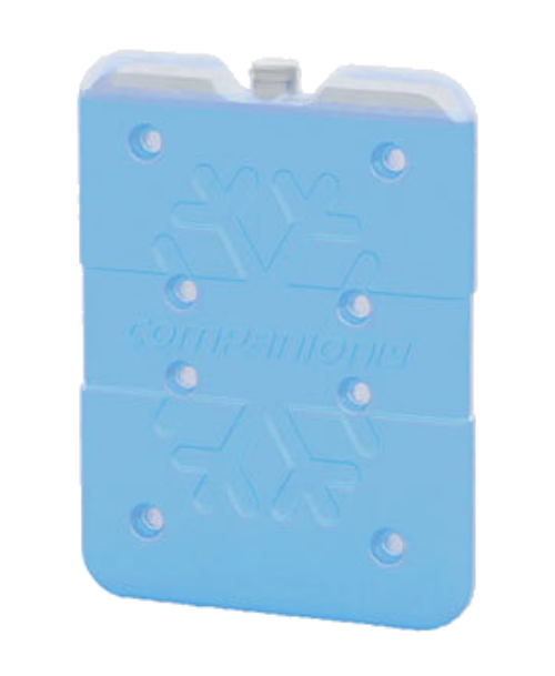 A blue rectangular ice brick with a snowflake pattern on it, branded with the name 'Companion'.