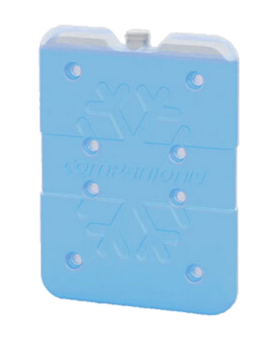 A blue rectangular ice brick with a snowflake pattern on it, branded with the name 'Companion'.